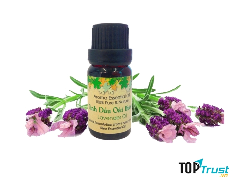 Tinh dầu hoa oải hương (hình ảnh lấy từ website của Oleo)