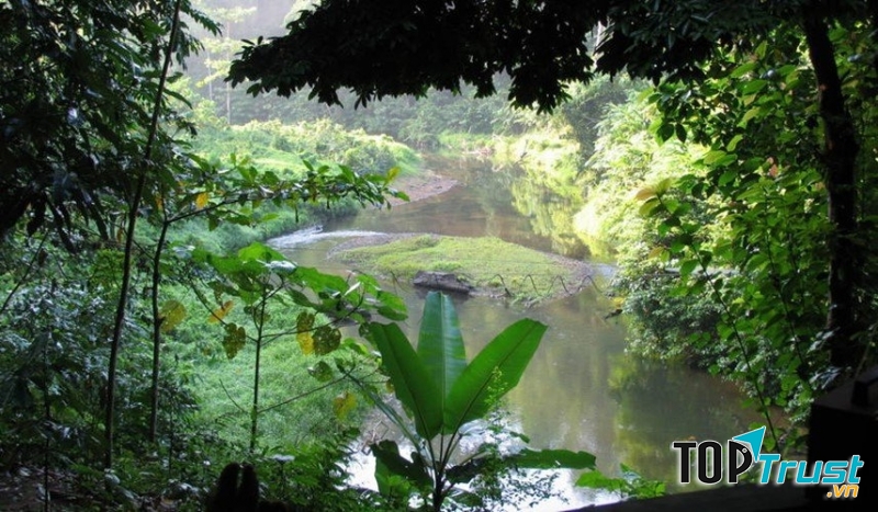 Di sản rừng mưa nhiệt đới đảo Sumatra của Indonesia bao gồm đến 3 công viên quốc gia