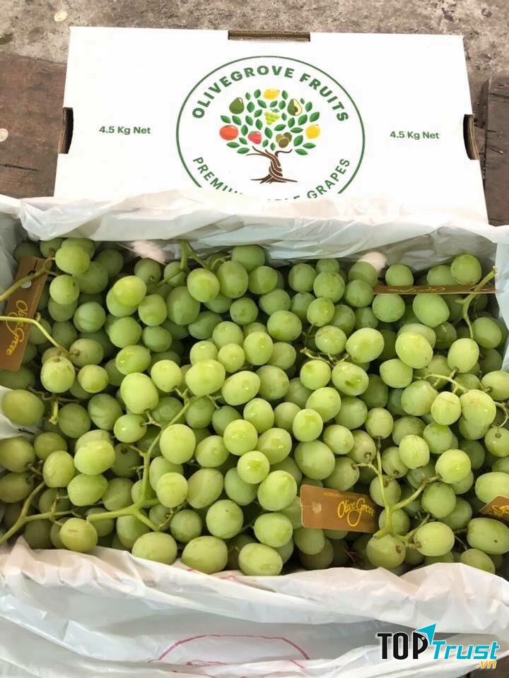 Hệ thống FUJI FRUIT Hoa quả sạch Hải Dương