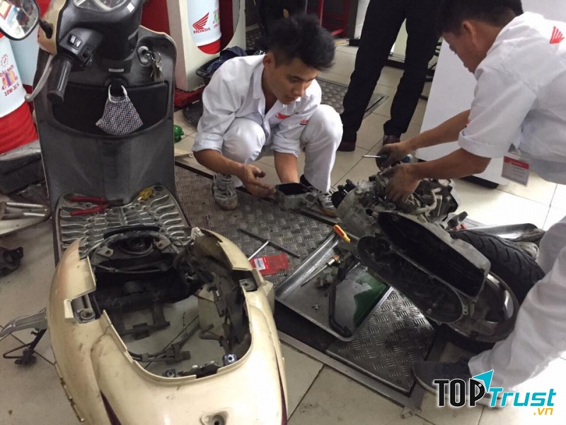 Hệ thống Head Đức Ân