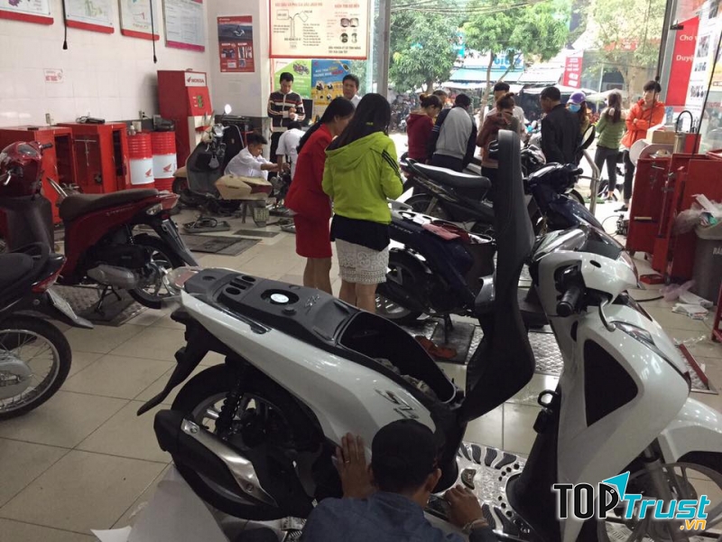 Hệ thống Head Đức Ân