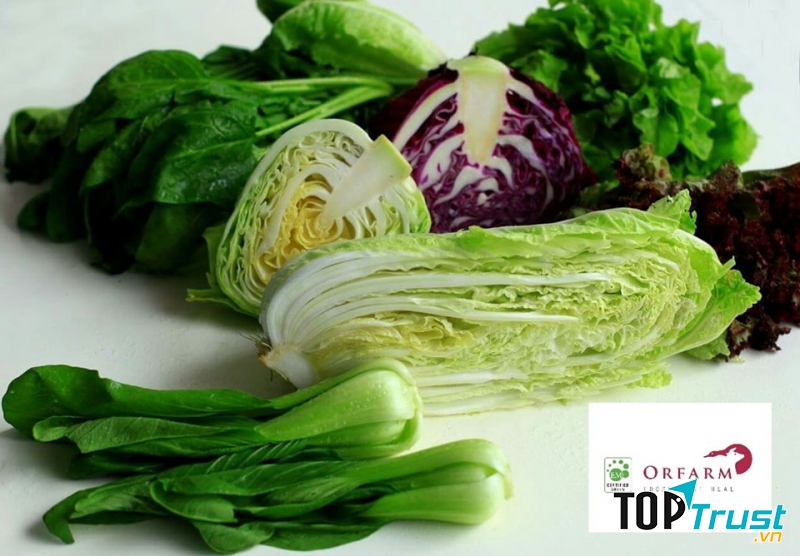 Rau sạch Orfarm