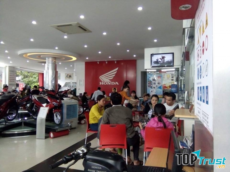 HEAD Trường Đạt