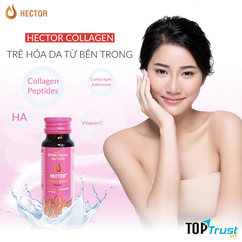 Nước đông trùng hạ thảo Hector Collagen