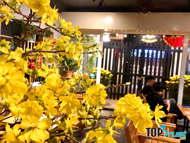 Quán tuy nhỏ nhưng ấm cúng và bình yên