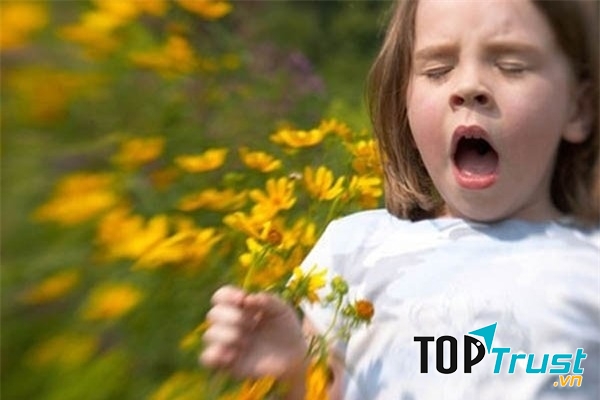 Hen suyễn dị ứng do phấn hoa