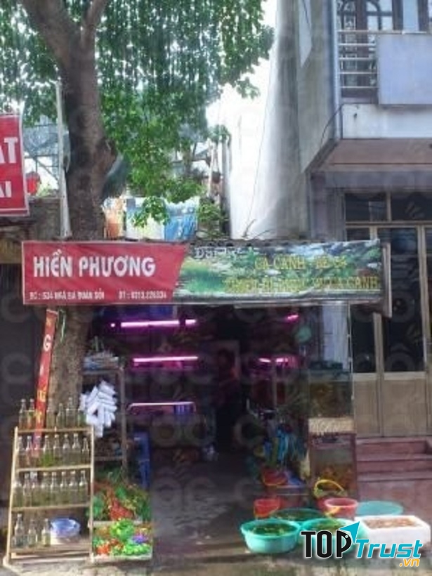 Là một địa chỉ uy tín tại Hải Phòng, Cá Cảnh Hiền Phương đã trở thành nơi mua bể cả, cá cảnh quen thuộc với rất nhiều khách hàng