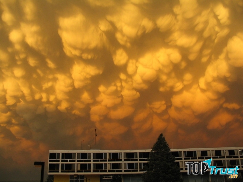 Hiện tượng mây 'vẩy rồng' ở Hà Nội