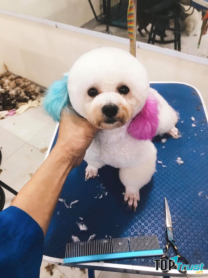 HIEU SPA - Mini Pet Mart & Pet Hotel