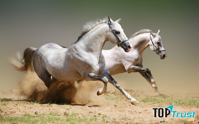 Phải chịu tác động từ bên ngoài thì chúng ta mới biết phấn đấu