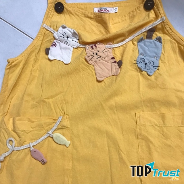 Hikosen cara Hà Nội