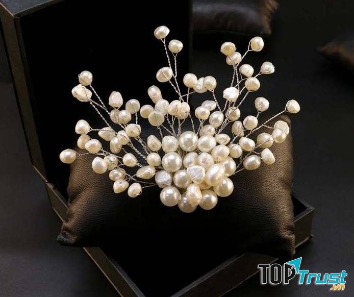 Một phụ kiện tóc của Himhip Shop