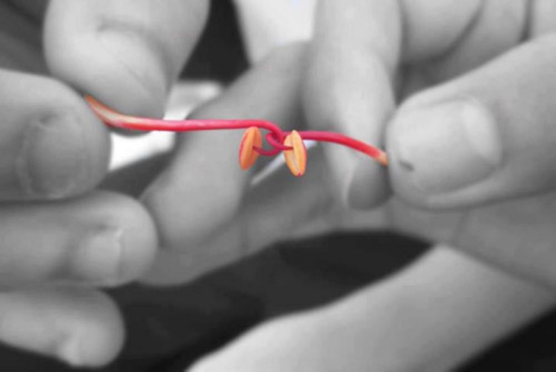 Dưới bóng cây râm mát ấy, chúng em tụm nhau để chơi chọi gà