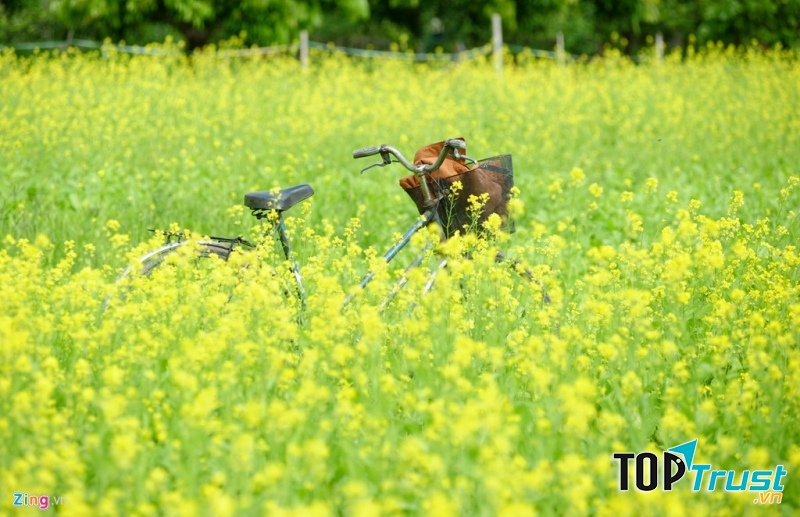 Ảnh minh họa ( nguồn: Internet)