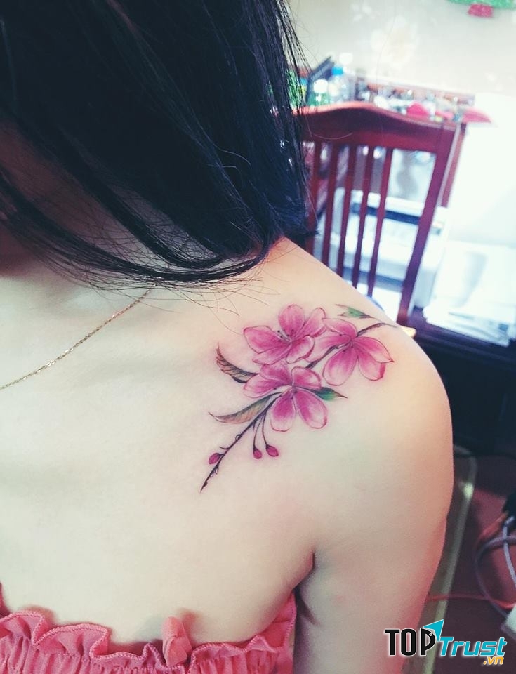 https://www.facebook.com/phuonganh.nguyen.90