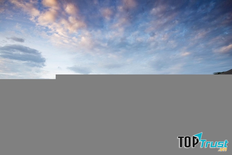 Từ bể bơi, bạn có thể quan sát được toàn cảnh môi trường sống của rất nhiều loài động vật hoang dã