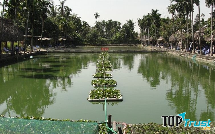 Hồ câu cá giải trí - ẩm thực 3 miền 9 tàu