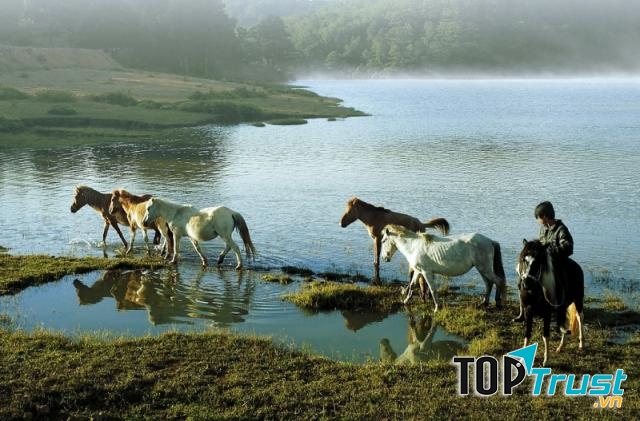 Hồ Đan Kia – Suối Vàng