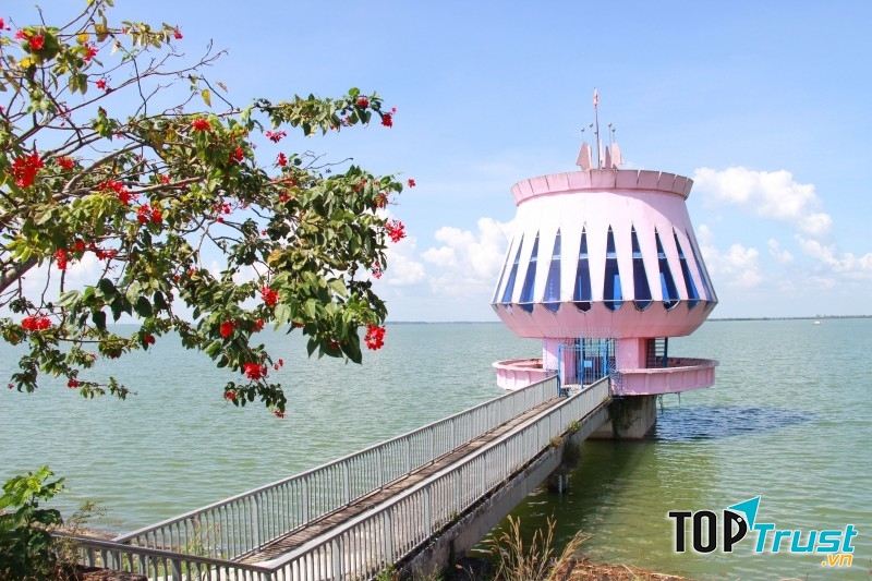 Nước trong hồ tĩnh lặng bốn bề, trong xanh thỉnh thoảng lại điểm thêm vài đóa hoa đang hé nở