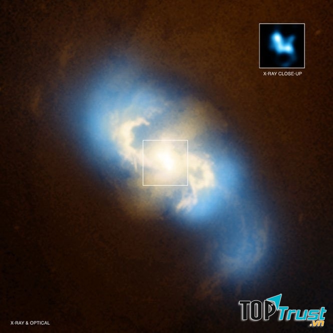 Hố đen “ăn” lẫn nhau