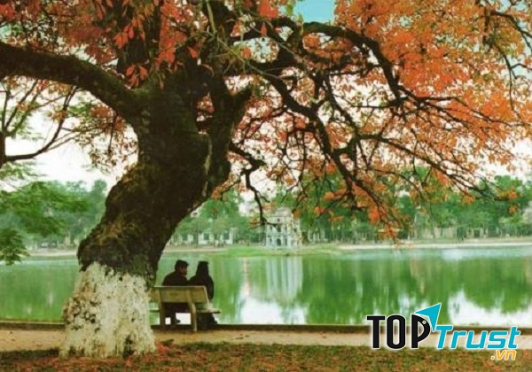 Hồ Gươm điểm vui chơi lí tưởng