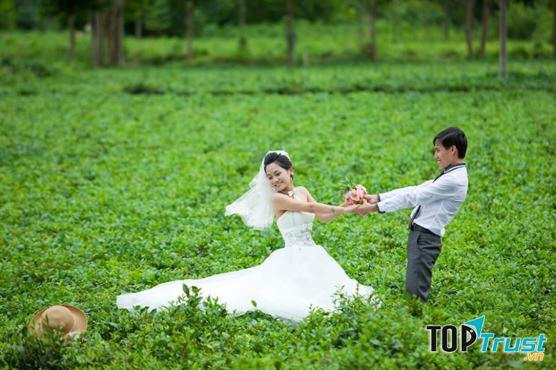 Đồi chè Đông Giang