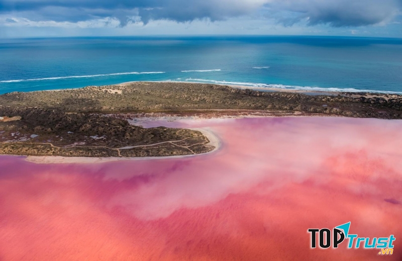 Hồ màu hồng – Australia