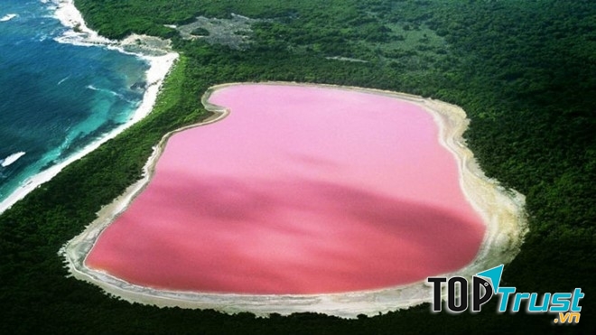 Hồ màu hồng – Australia