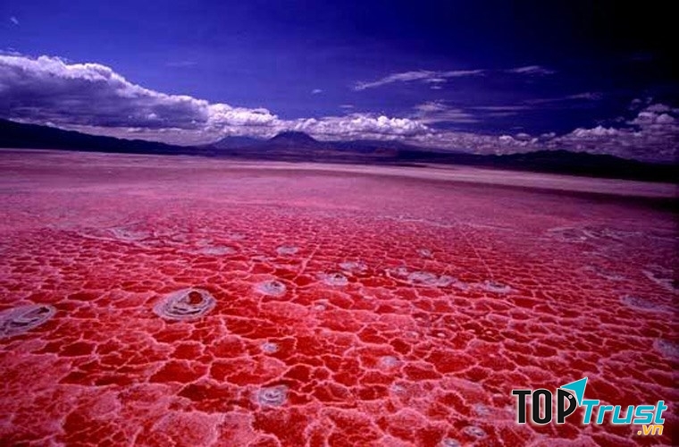 Hồ tử thần Natron