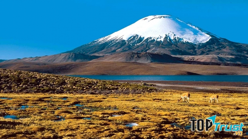 Hồ Nevado Ojos Del Salado