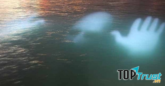 Linh hồn dưới nước