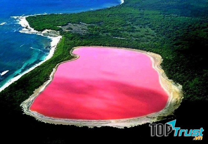 Hồ nước hồng – Australia