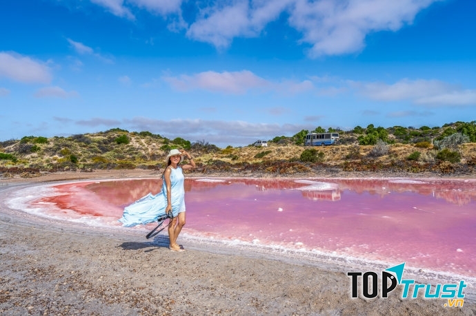 Hồ nước hồng – Australia