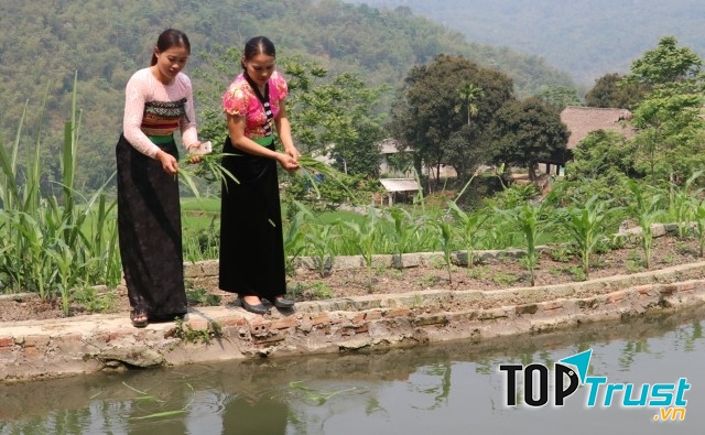 Bà con ở bản Bút