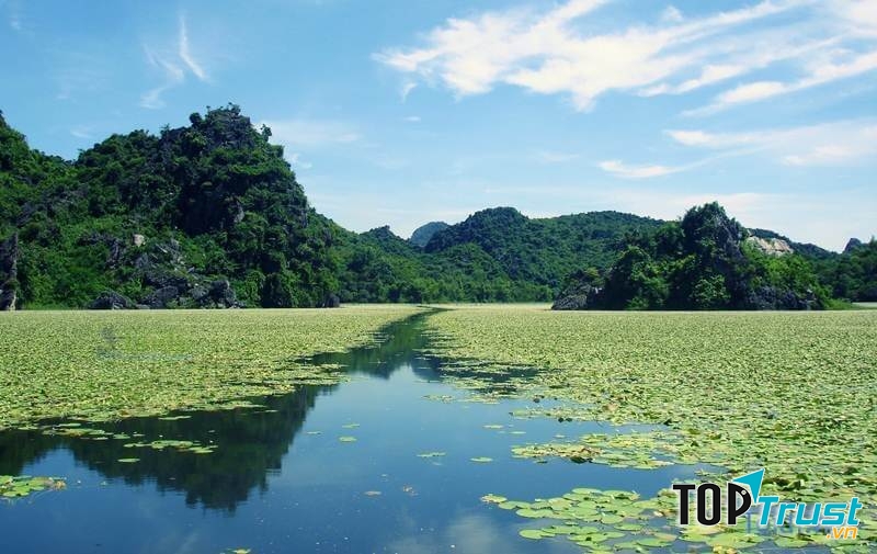 Hồ được bao trọn bởi thiên nhiên tự nhiên nê không khí ở đây cũng rất mát mẻ.