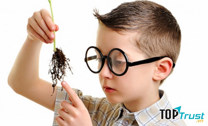 Họ rất thông minh