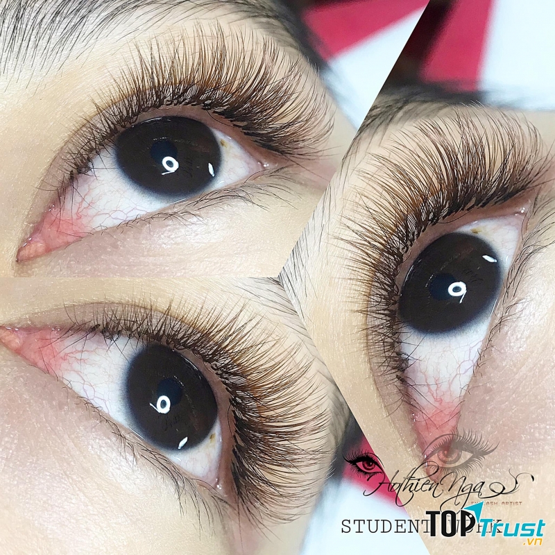 Hồ Thiên Nga Nối Mi