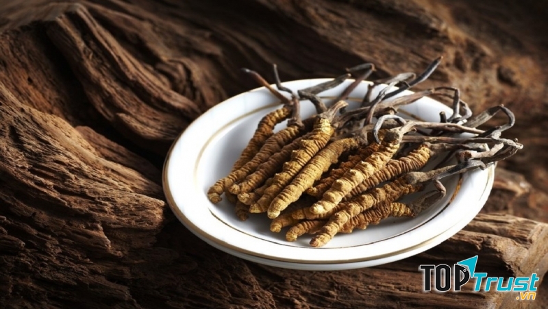 Đông trùng hạ thảo