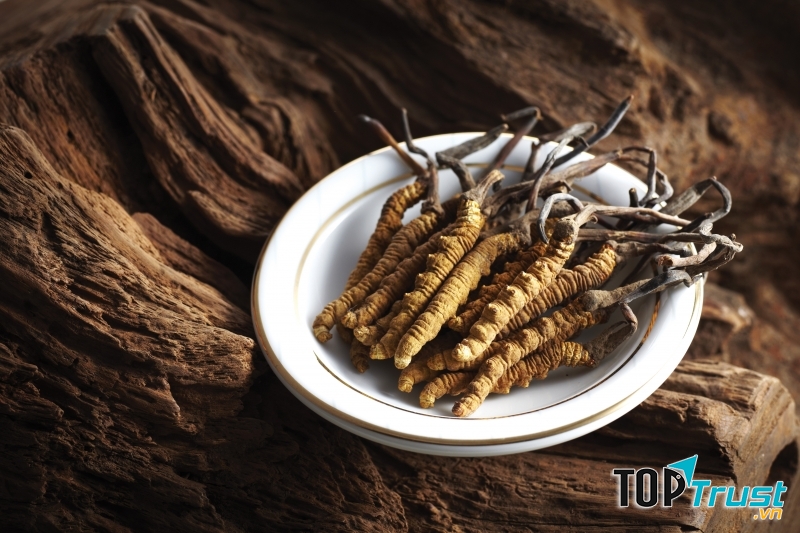 Đông trùng hạ thảo