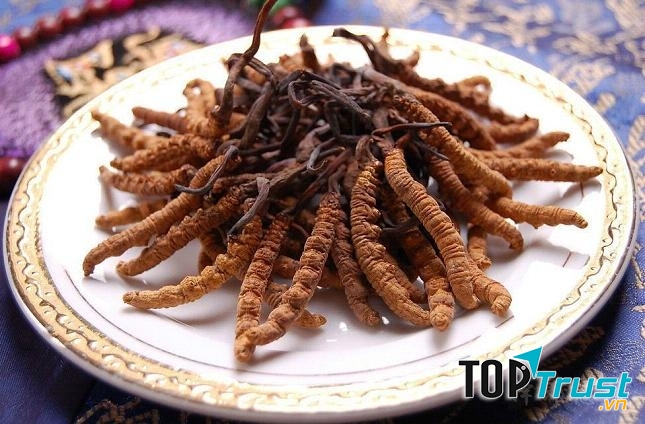 Đông trùng hạ thảo