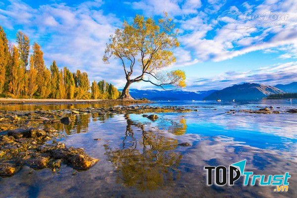 Hồ Wanaka, New Zealand