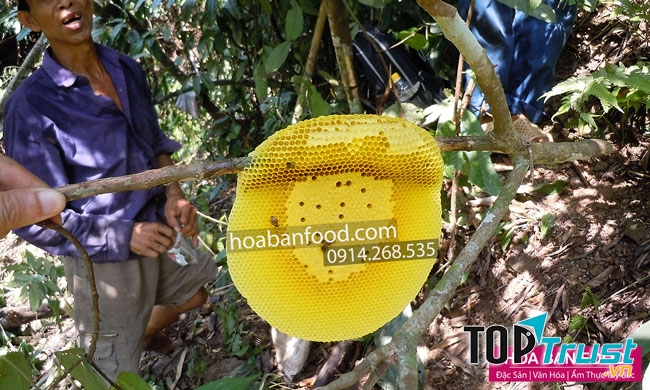 Mật ong rừng nguyên tổ tại Hoa Bạn Food