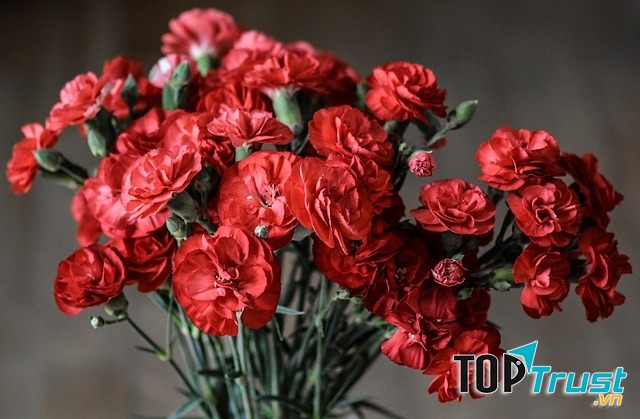 Ảnh minh họa - nguồn internet