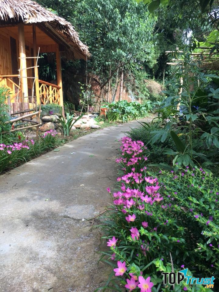 Hoa Chanh Homestay
