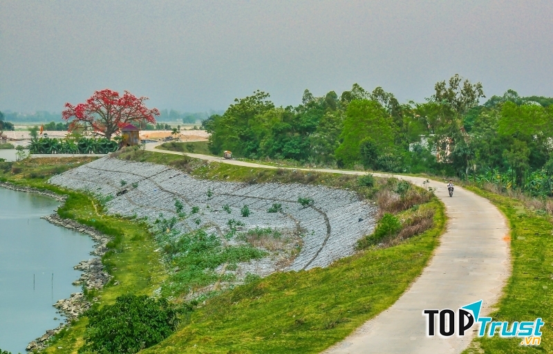 Ảnh minh họa (nguồn internet)