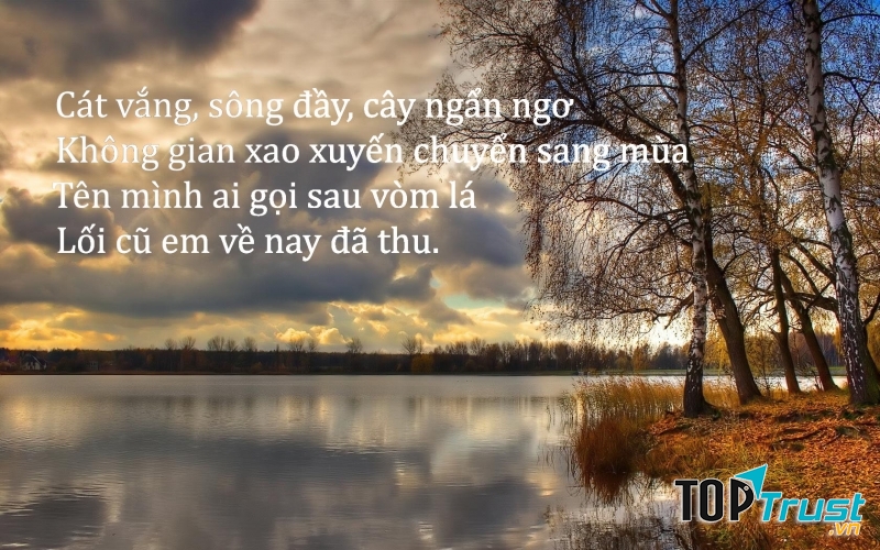 Ảnh minh họa (Nguồn internet)