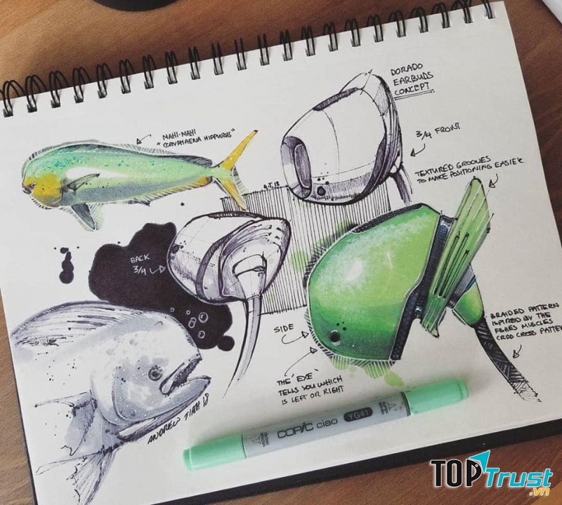 Họa cụ Cú Tuyết