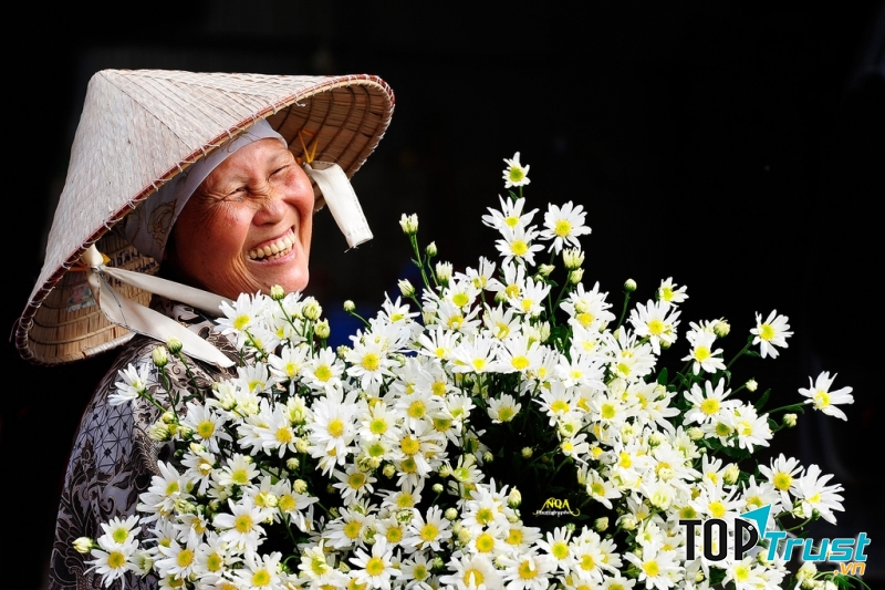 Tràn ngập phố phường với những gánh cúc họa mi