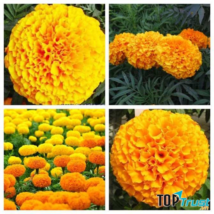 Ảnh minh họa - nguồn internet