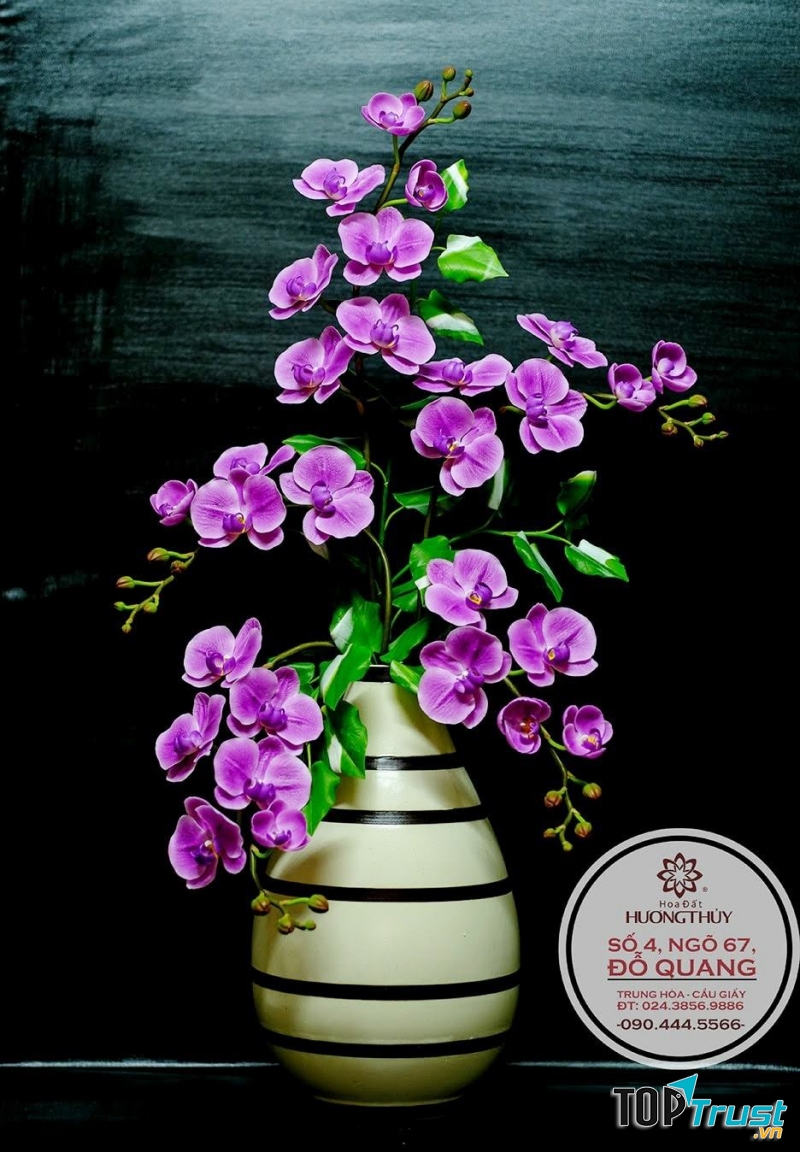 Sản phẩm của hoa đất Hương Thủy
